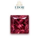 Rhodolite Rose